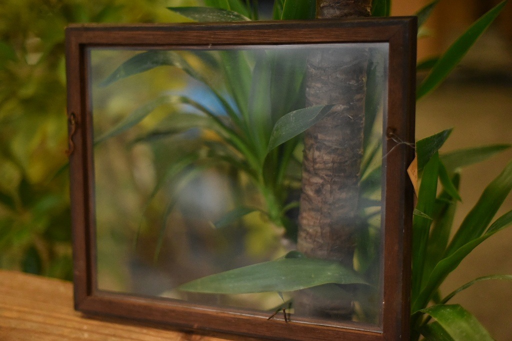 103638 ヴィンテージ　ウッドフレーム ガラス版付属　額縁