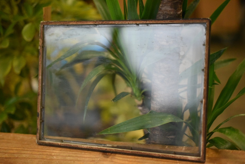 103639 ヴィンテージ　ウッドフレーム ガラス版付属　額縁