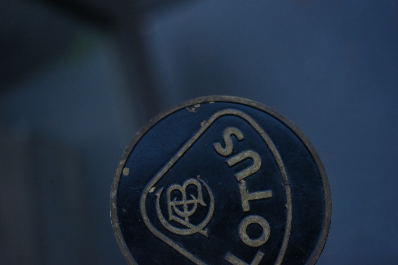 102965 UK ヴィンテージ　 「LOTUS ロータス」　 2枚セット　旧ロゴ　ブラス　真鍮エンブレム