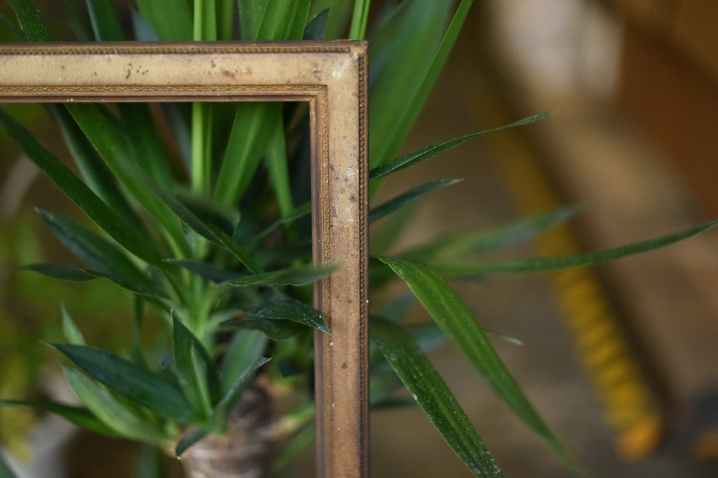 103536 ヴィンテージ　ウッドフレーム 額縁