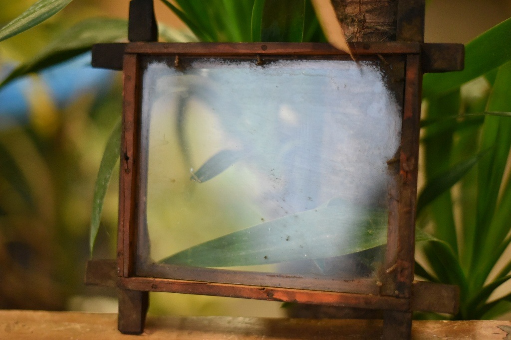 103645 ヴィンテージ　ウッドフレーム ガラス版付属　額縁