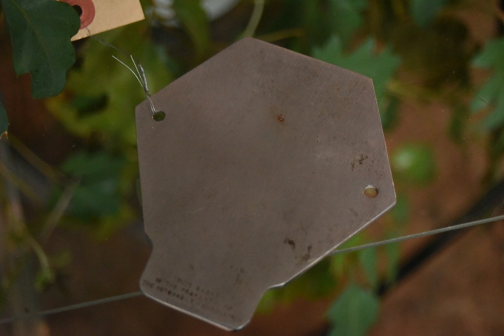 103327 UK ヴィンテージ　40年代　クロームメッキ　AA Automobile Association カーバッチ　