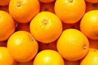 ���绺�Ϥä���L��10kg��