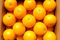 ���绺�ȤϤä���M��10kg��