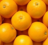 ���绺�ȤϤä���L��10kg��