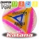 I-Dye Champion ������