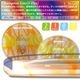 I-Dye Champion �饤��