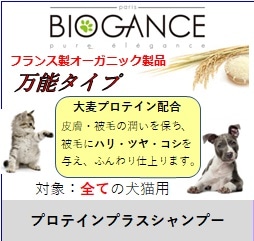 BIOGANCE PROTEIN PLUS シャンプー 4L 業務用 楽天市場】biogance プロテイン プラス シャンプー 4l 業務用の通販