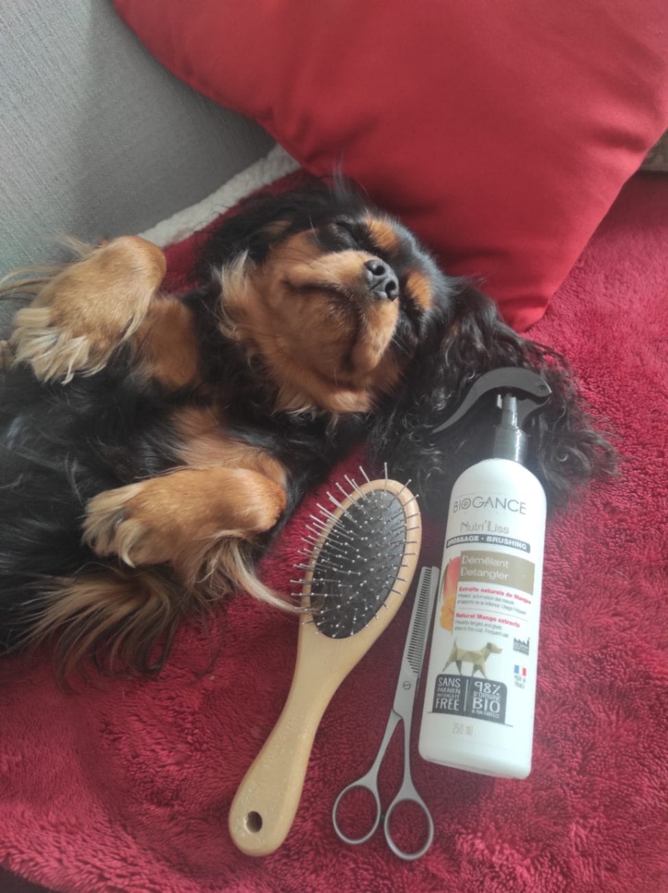 ニュートリ・リス ブラッシング ローション 250ml for DOG