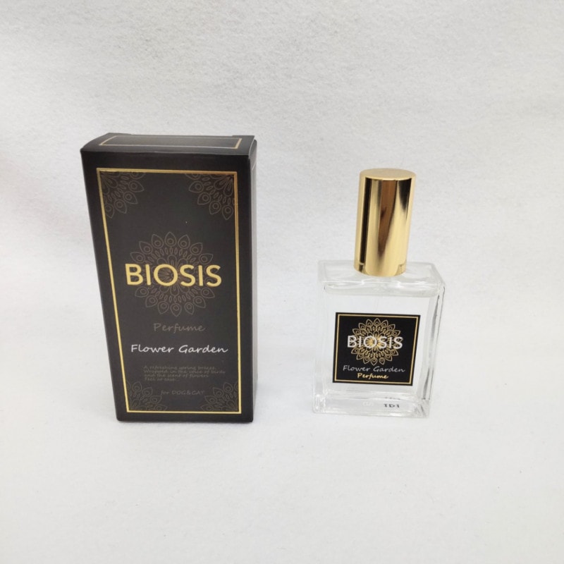 �ѥҥ塼�ࡡ�ե������ǥ�