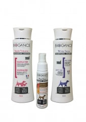 ���򥻥åȡʤդ���ž夲��