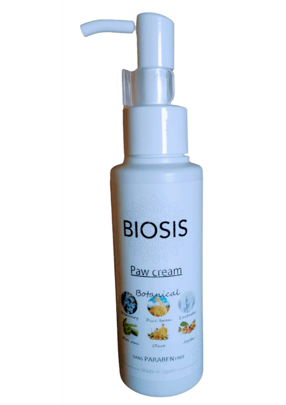 �ѥ����꡼�� ������100��