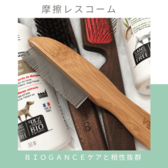 �໤�쥹������