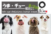 ���ޡ����塼