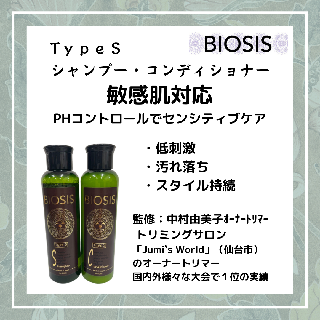 TypeSסǥʡ쥻å