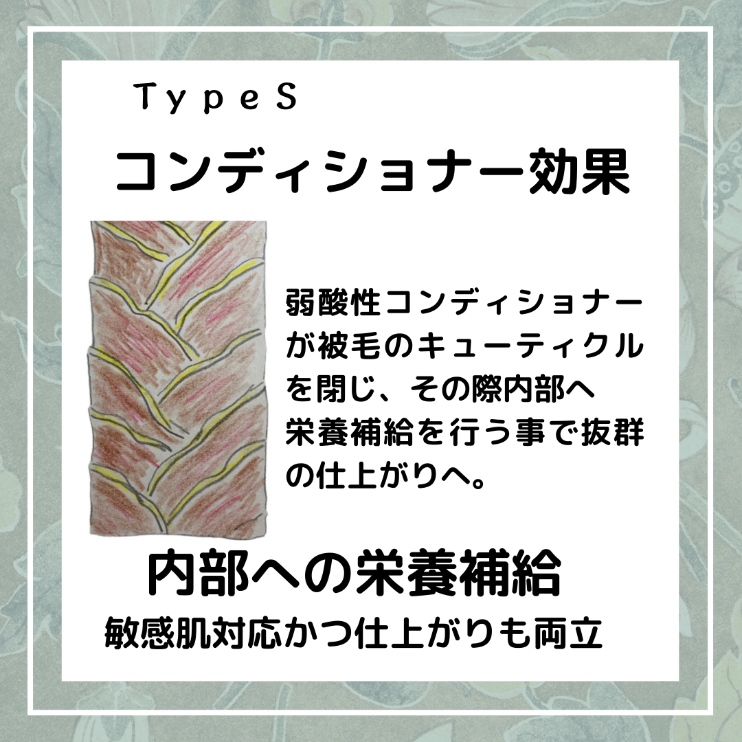 TypeSסǥʡ쥻å