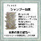 TypeSסǥʡ쥻å