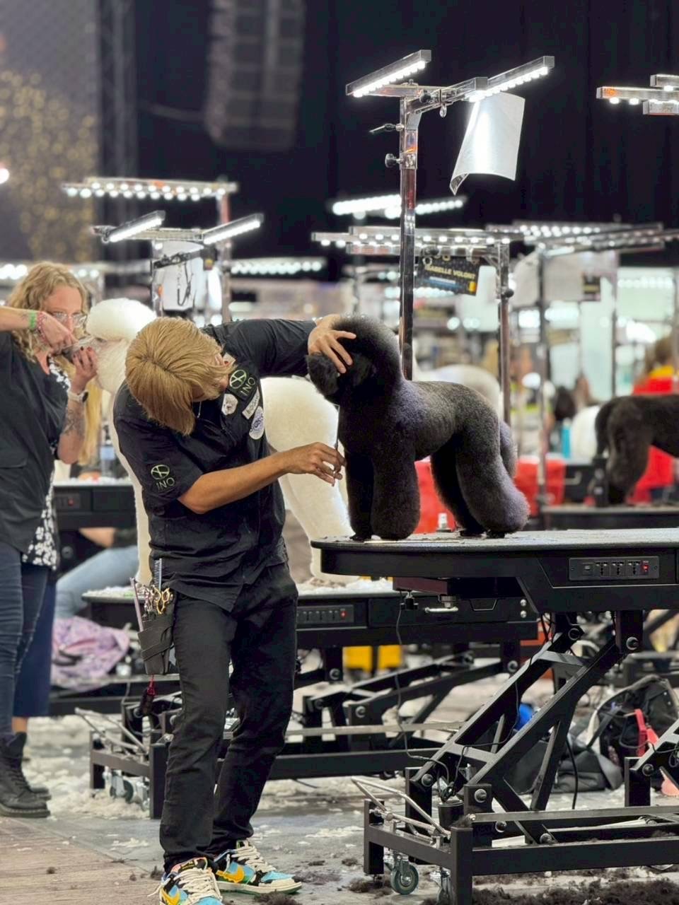 ������ե꡼�����������硡BIOSIS GROOM EXPO2026