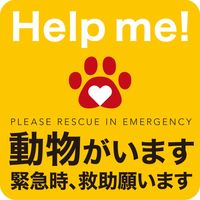 �ɺ��ѡ��۵޻��ε߽��Τ��ꤤ�������ޥ��ͥåȡ�����������