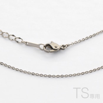 TS���꡼����ɸ��ͥå��쥹�ʥ����� 40��45cm�����㥹����ͭ��� �˺�TS-ST40�ʷ��֤�TS����Ϥޤ�ڥ����Ȥ��б���