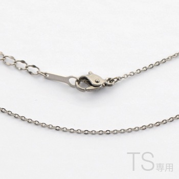 TSシリーズ用標準ネックレス（チタン 40～45cmアジャスター有り