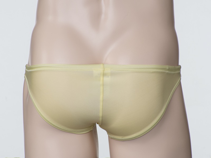 ���󥷥㡼�٥å�  �� �������� �� �� �ƥ륿�� �� terthane �ۡ����ѥ�