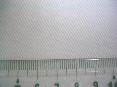 �ʳ�롦���եۥ磻��150cm�ң�M�β��ʤǤ�����100�������Ѥߡ��������ᡦ�������ᡦ�����ᡦ������Ŭ��)