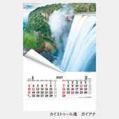 IC504H���ե���� THE�ϵ奫��������1��̾���������