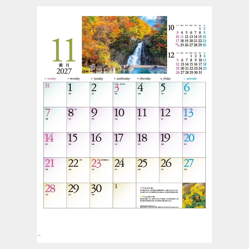 IC278���͵�ʪ�쥫��������1��̾���������