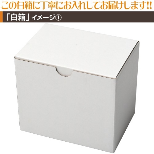 �⿧�ޥ����åץץ��ȡ�20�ġ�