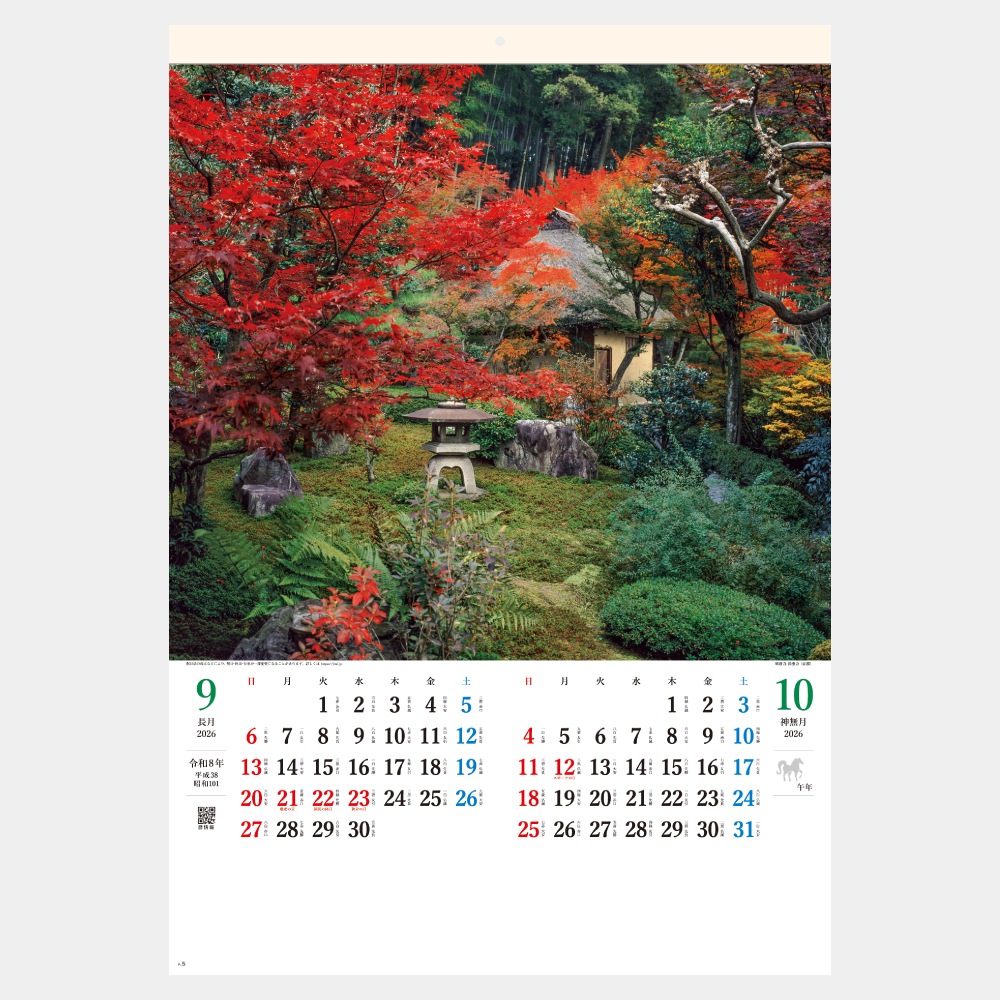 SG401ο A21̾ۥåȥȡ