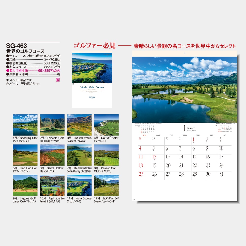 SG-463 Υե1̾ۥåȥܡ