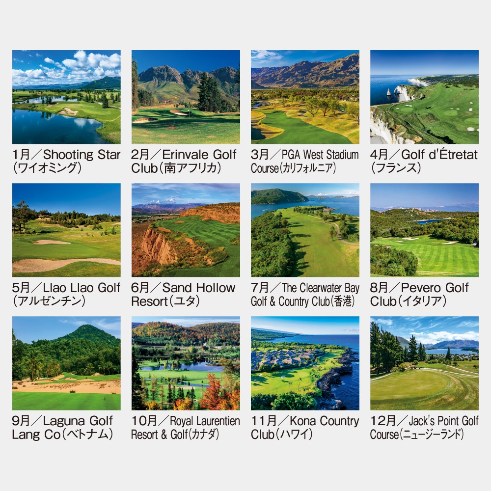 SG-463 Υե1̾ۥåȥܡ