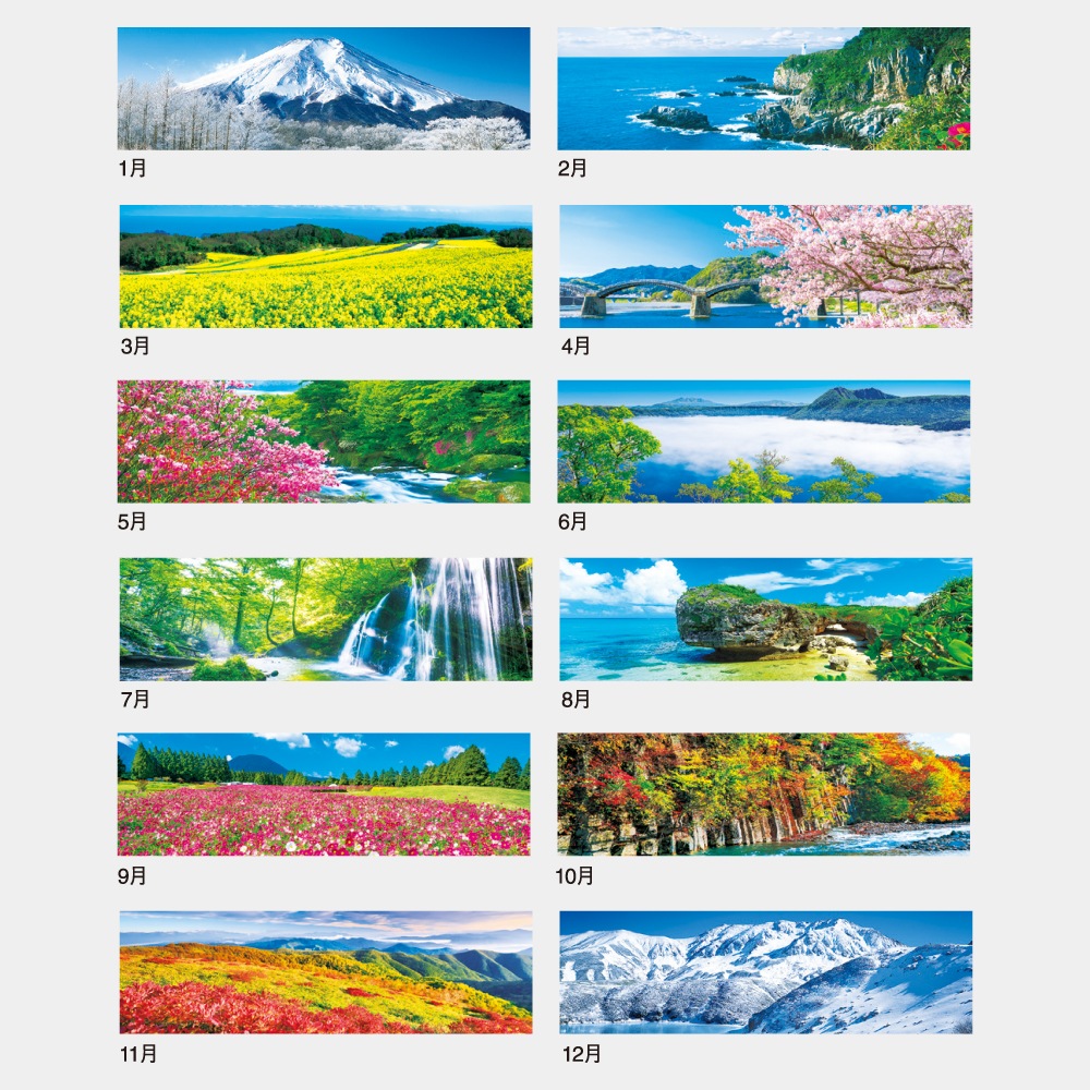 IC295H������ΥѥΥ�� A2����������������1��̾����������ۥåȥ������ܡ�