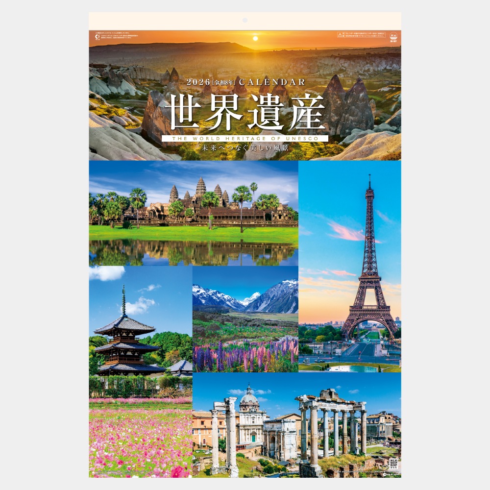 SG-507ե ͥ仺1̾ۥåȥܡ