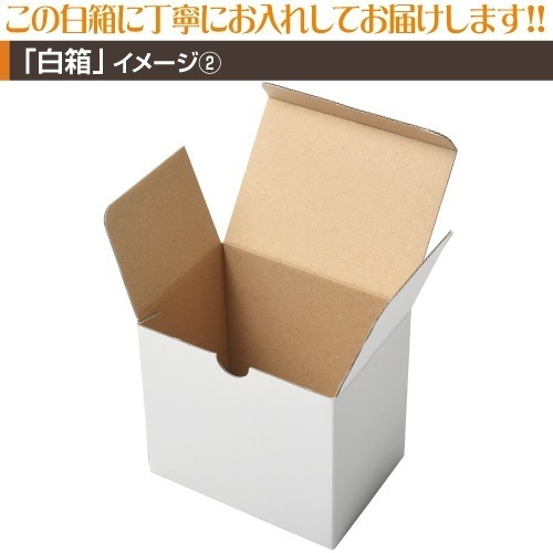 ڥХ顼ۥޥå