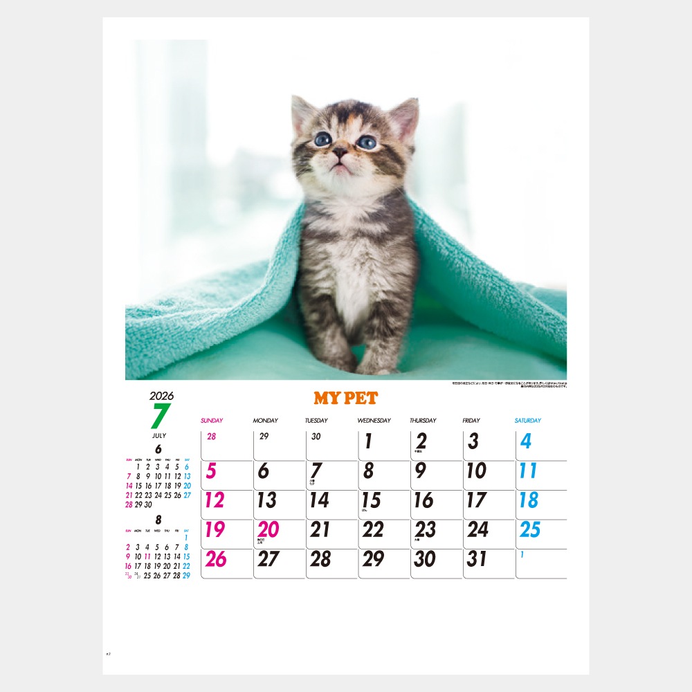 IC261H���ޥ��ڥåȥ���������1��̾����������ۥåȥ������ܡ�