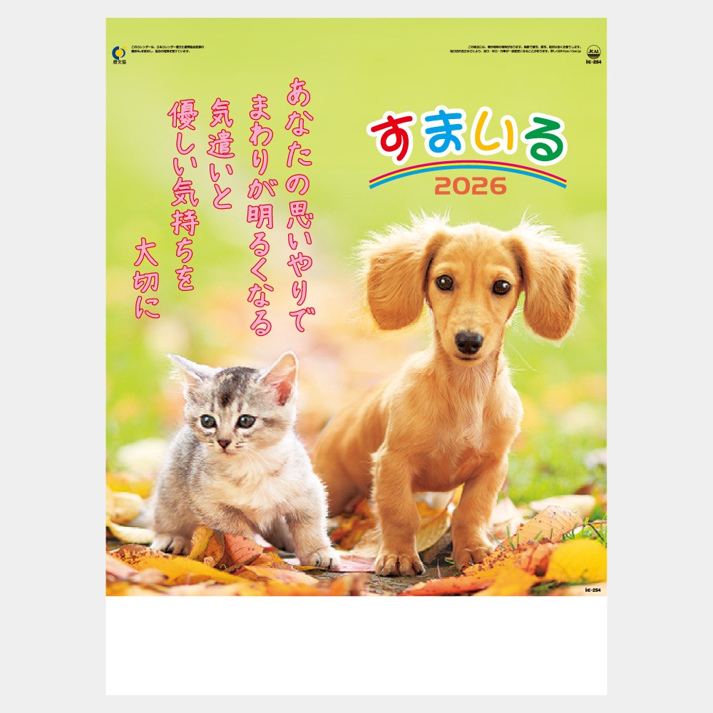 IC254H�����ޤ��륫��������1��̾����������ۥåȥ������ܡ�