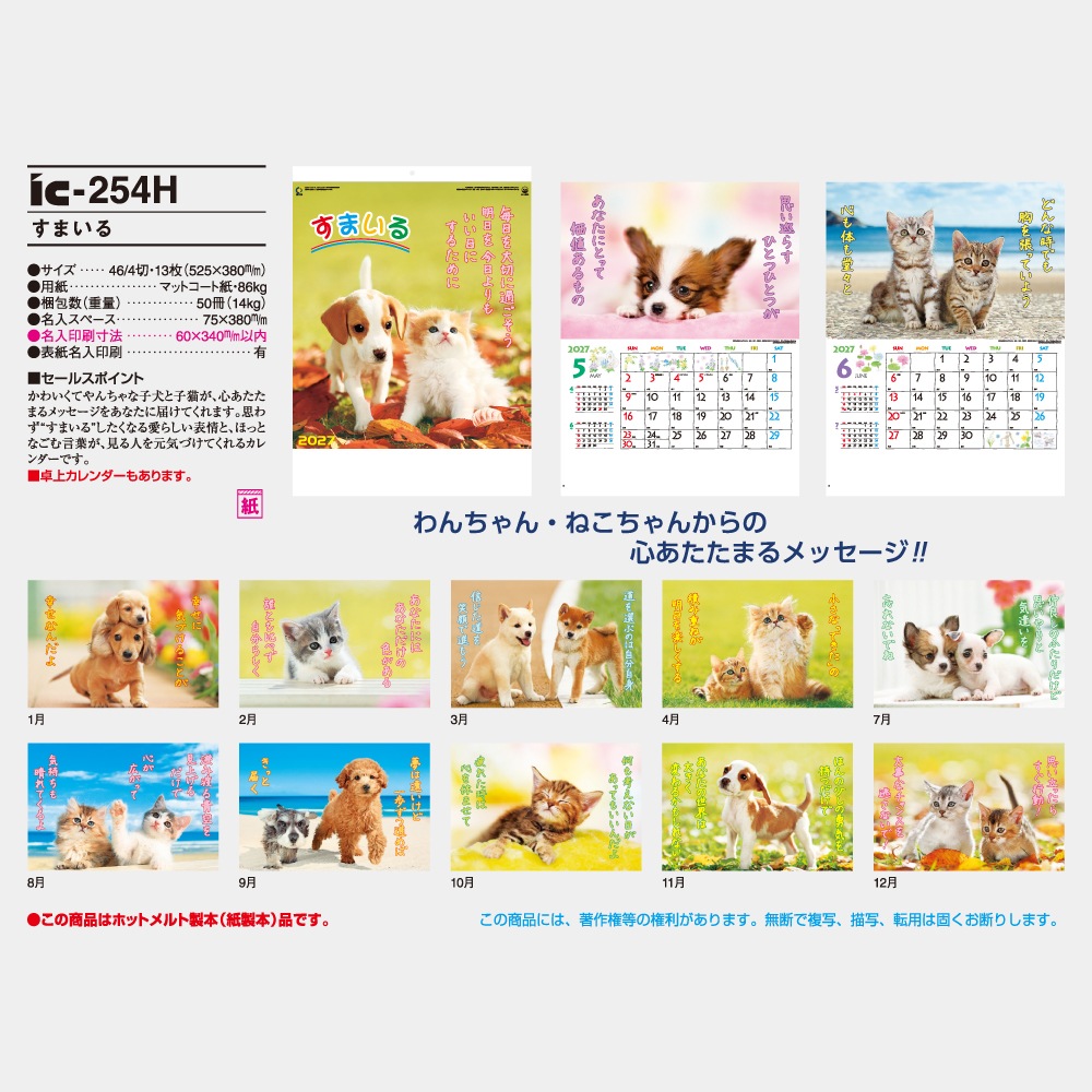 IC254H�����ޤ��륫��������1��̾����������ۥåȥ������ܡ�