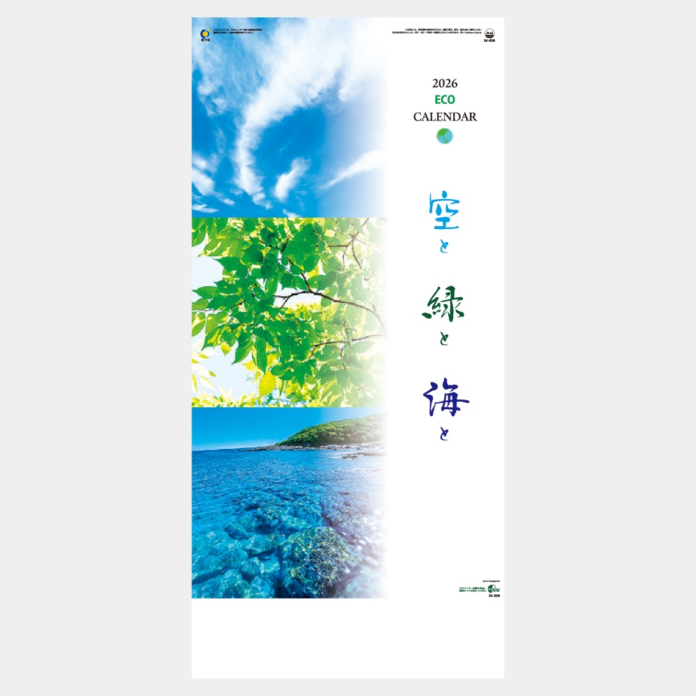 IC306H3 Фȳȡʥߥˡ1̾ۥåȥܡ