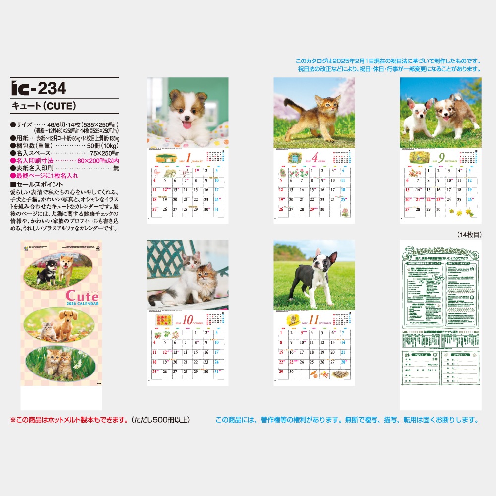 IC234�����塼�ȡ�CUTE�˥���������1��̾���������