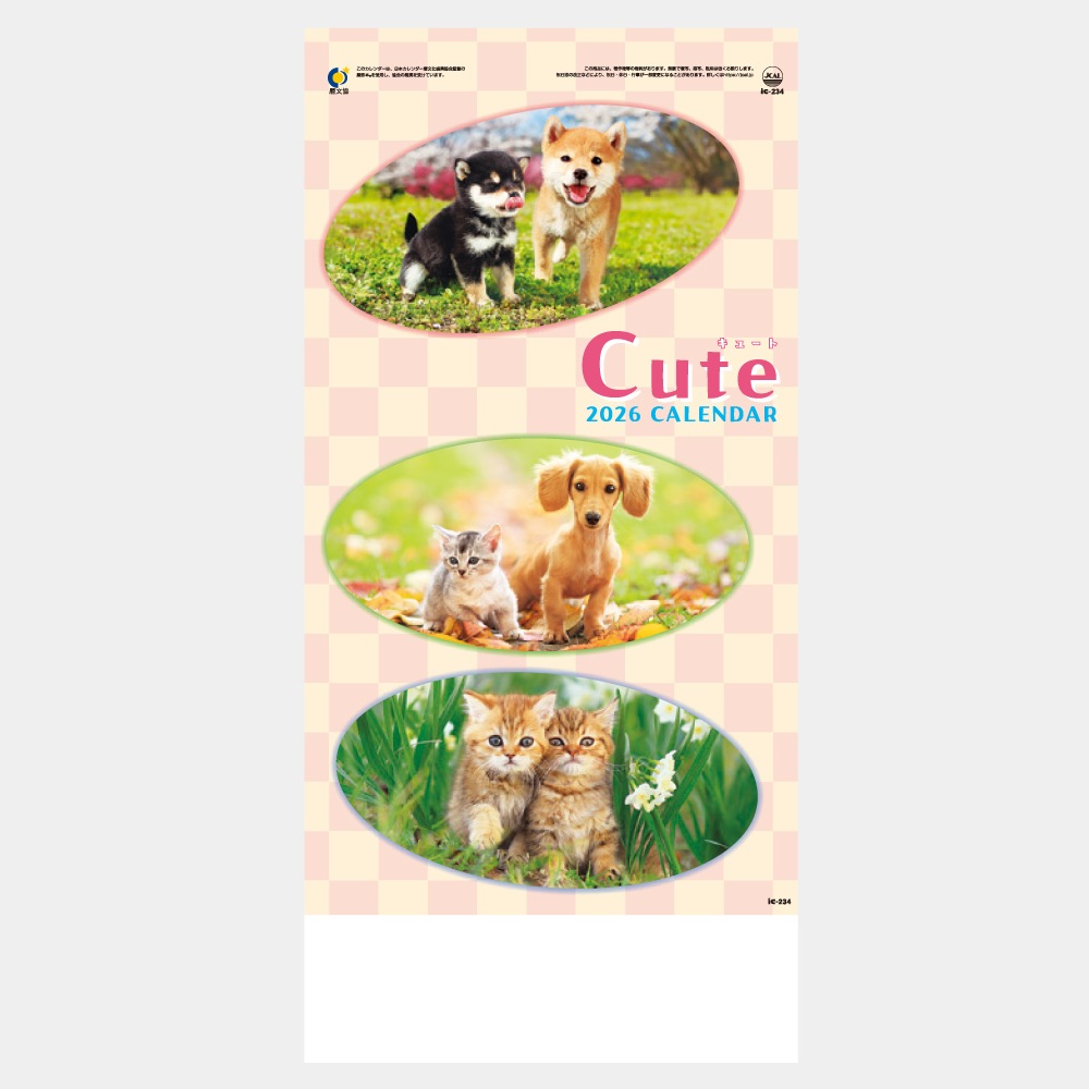 IC234�����塼�ȡ�CUTE�˥���������1��̾���������