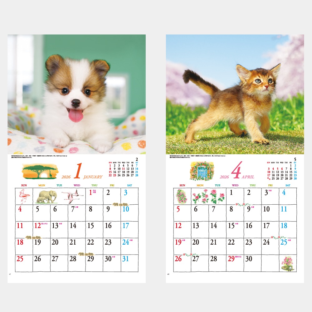 IC234�����塼�ȡ�CUTE�˥���������1��̾���������