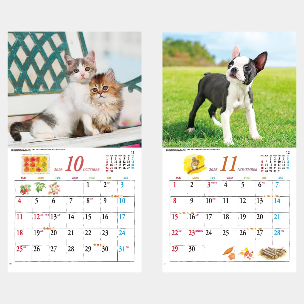 IC234�����塼�ȡ�CUTE�˥���������1��̾���������