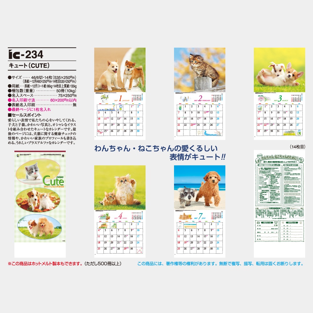 IC234�����塼�ȡ�CUTE�˥���������1��̾���������