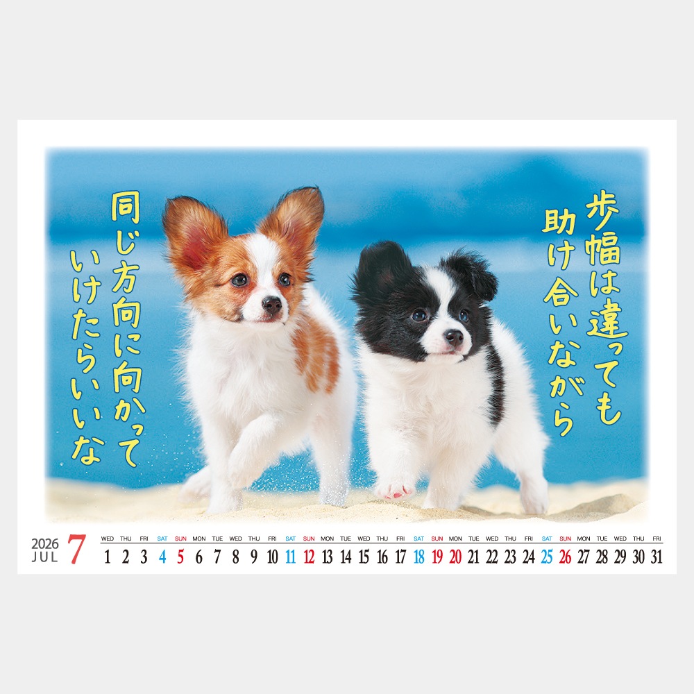 IC840  ޤ󲡤 ޤ 륯꡼̾