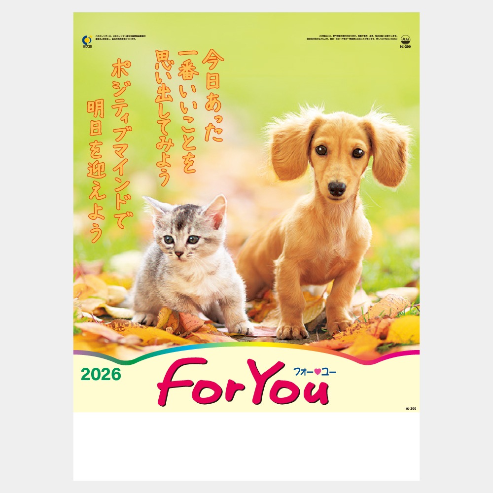 IC200H��FOR YOU�ʥե������桼�˥���������1��̾����������ۥåȥ������ܡ�