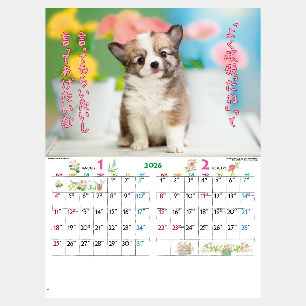 IC200H��FOR YOU�ʥե������桼�˥���������1��̾����������ۥåȥ������ܡ�