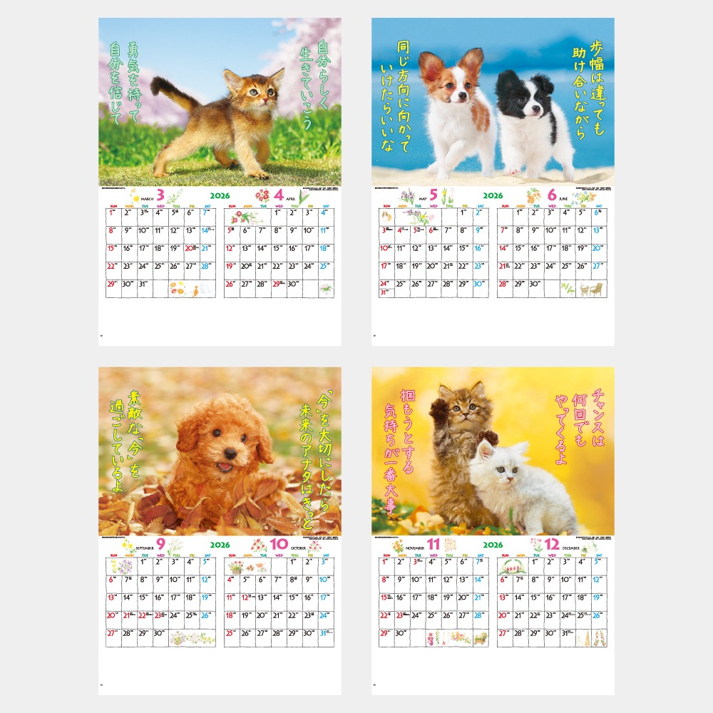 IC200H��FOR YOU�ʥե������桼�˥���������1��̾����������ۥåȥ������ܡ�