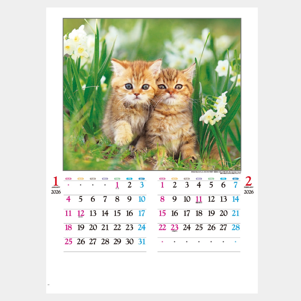 IC201H�����襤��ǭ����������1��̾���������